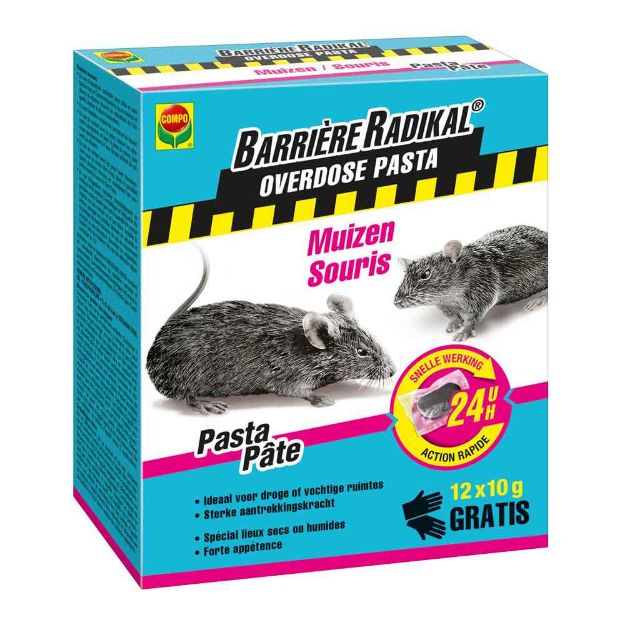 Image de BARRIÈRE RADIKAL OVERDOSE PÂTE SOURIS 24H  (12 x 10 G)