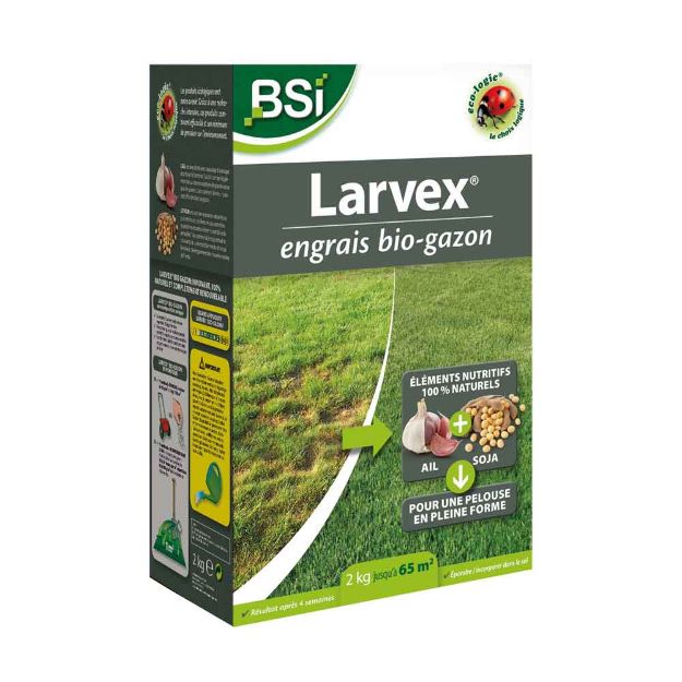 Image de LARVEX BIO-GAZON 2 KG