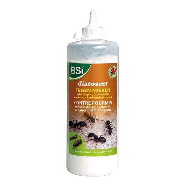 Image de BSI DIATOSECT INSECTES RAMPANTS 200 G