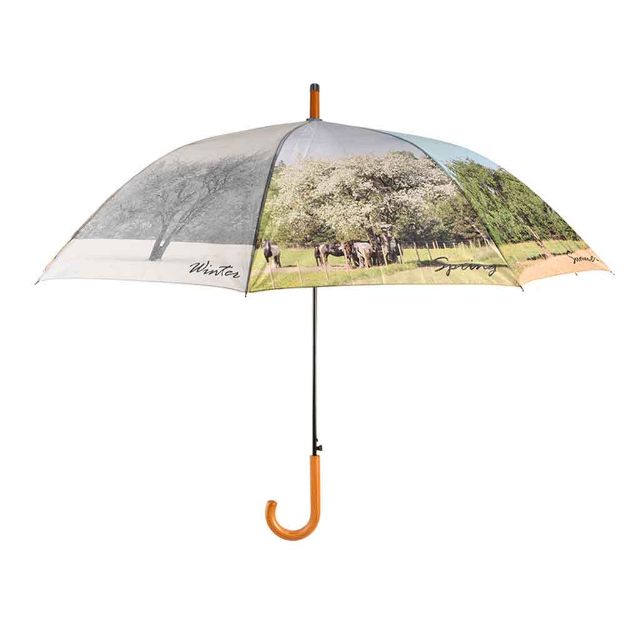 Image de Parapluie 4 saisons