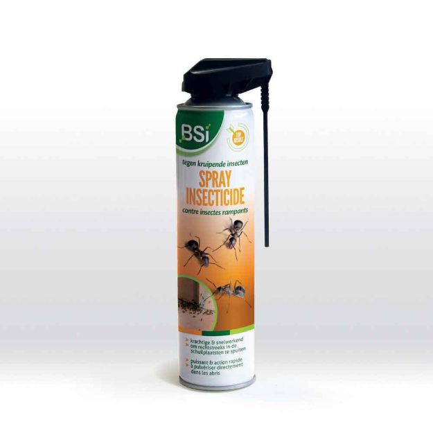 Image de SPRAY INSECTICIDE 300 gr