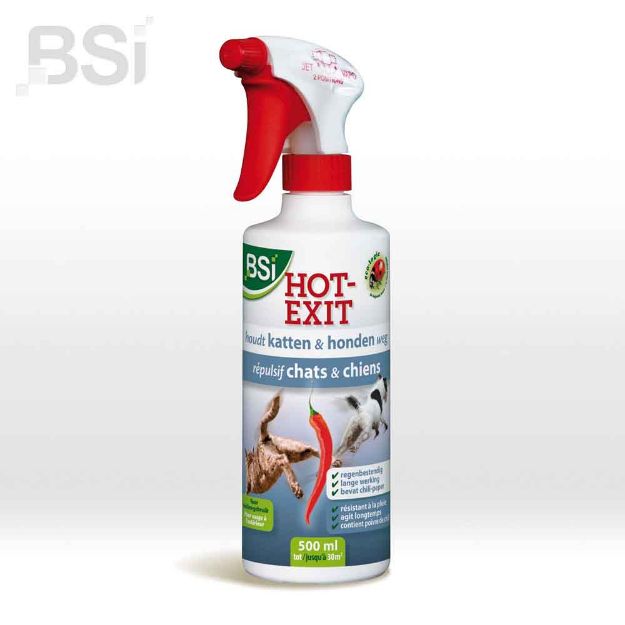 Image de HOT EXIT 500 ml