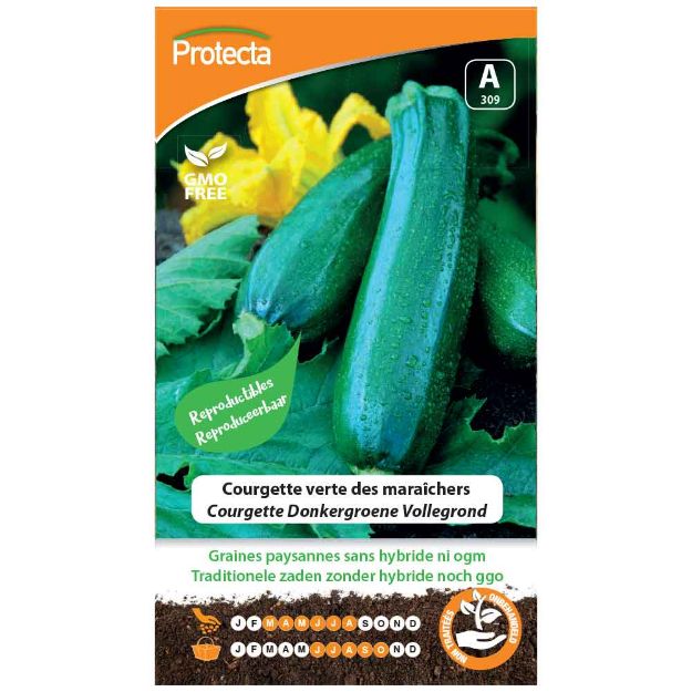 Image de Graines de courgette verte des maraîchers - Protecta