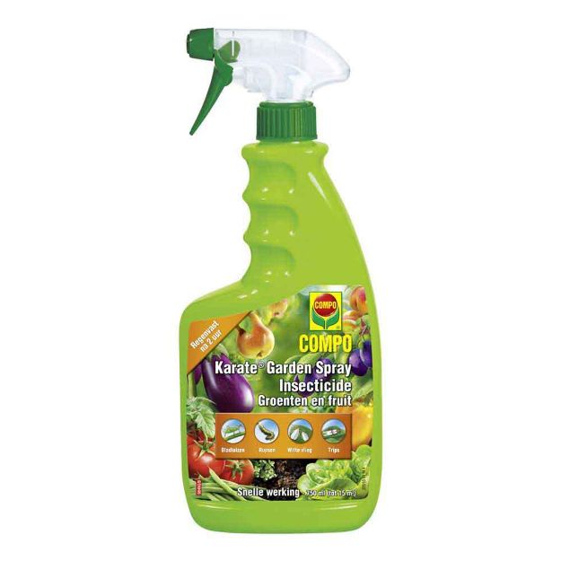 Image de COMPO KARATE GARDEN LÉGUMES & FRUITS SPRAY 750 ML