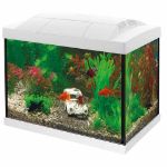 Image de SUPERFISH START 20 GOLDFISH KIT BLANC