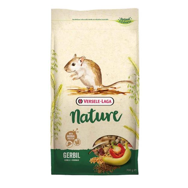 Image de Nature Gerbil 700 g