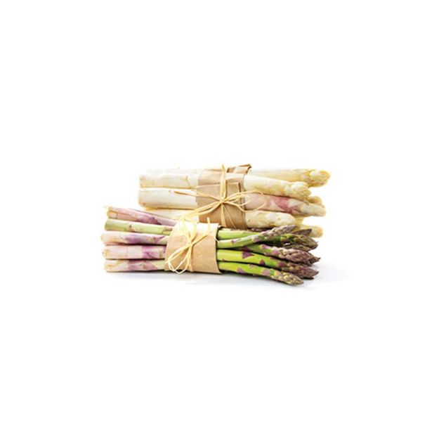 Image de Asperge violette ROSALIE 1 AN 10 Griffes