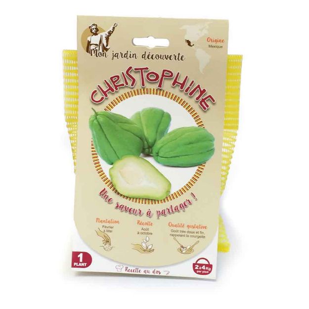 Image de Christophine France 1 plant