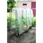 Image de TOMATO FILM  tunnel  tomates LDPE 50 microns  3x3,50m