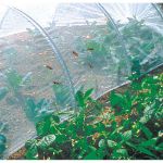 Image de BIOCONTROL   Filet anti-insectes  2,20x5m