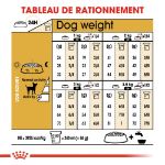 Image de BHN CHIHUAHUA 1,5kg