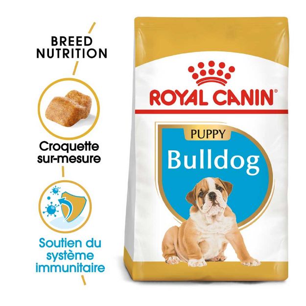 Image de BHN BULLDOG PUPPY 3kg