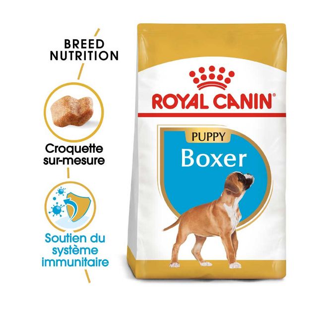 Image de BHN BOXER PUPPY 3kg