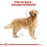 Image de BHN GOLDEN RETRIEVER 3kg