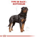 Image de BHN ROTTWEILER 12kg