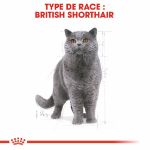 Image de FBN BRITISH SHORTHAIR 2kg