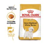 Image de BHN WEST HIGHLAND WHITE TERRIER 1,5kg