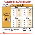 Image de BHN WEST HIGHLAND WHITE TERRIER 1,5kg