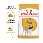 Image de BHN PUG 1,5kg