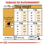 Image de BHN PUG 1,5kg