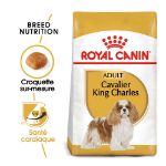 Image de BHN CAVALIER KING CHARLES 1,5kg