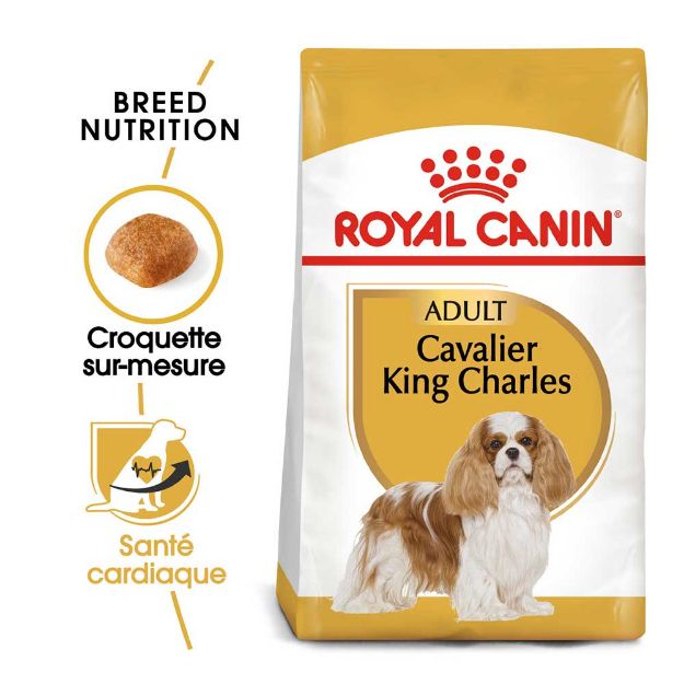 Image de BHN CAVALIER KING CHARLES 1,5kg