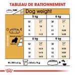 Image de BHN CAVALIER KING CHARLES 1,5kg