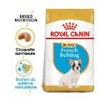 Image de BHN FRENCH BULLDOG PUPPY 1kg