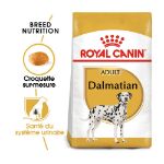 Image de BHN DALMATIAN 12kg