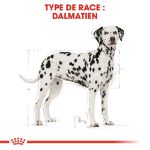 Image de BHN DALMATIAN 12kg