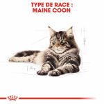 Image de FBN MAINE COON 2kg