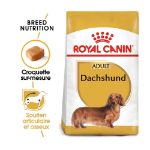 Image de BHN DACHSHUND 7,5kg