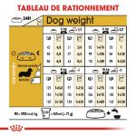 Image de BHN DACHSHUND 7,5kg