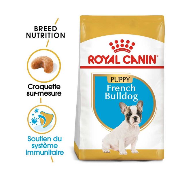 Image de BHN FRENCH BULLDOG PUPPY 3kg