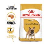 Image de BHN FRENCH BULLDOG 1,5kg