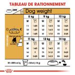 Image de BHN FRENCH BULLDOG 1,5kg