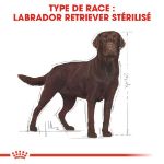 Image de BHN LABRADOR RETRIEVER STERILISED 3kg