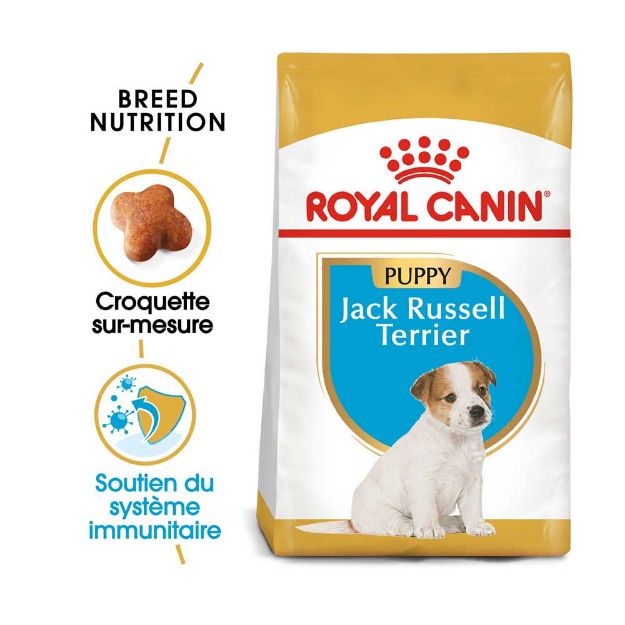 Image de BHN JACK RUSSELL TERRIER PUPPY 1,5kg