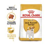 Image de BHN JACK RUSSELL TERRIER 1,5kg