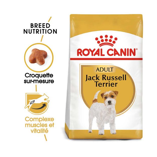 Image de BHN JACK RUSSELL TERRIER 1,5kg