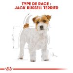 Image de BHN JACK RUSSELL TERRIER 1,5kg