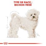 Image de BHN BICHON FRISE 1,5kg