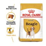 Image de BHN BEAGLE 3kg