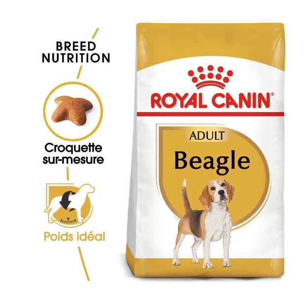 Image de BHN BEAGLE 3kg