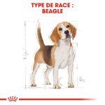 Image de BHN BEAGLE 3kg