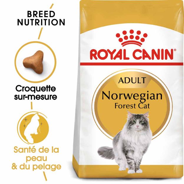 Image de FBN NORWEGIAN FOREST CAT 2kg