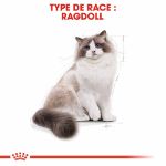 Image de FBN RAGDOLL 2kg