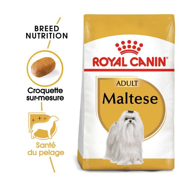 Image de BHN MALTESE 1,5 kg