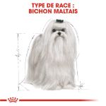 Image de BHN MALTESE 1,5 kg