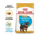 Image de BHN YORKSHIRE TERRIER PUPPY 1,5kg